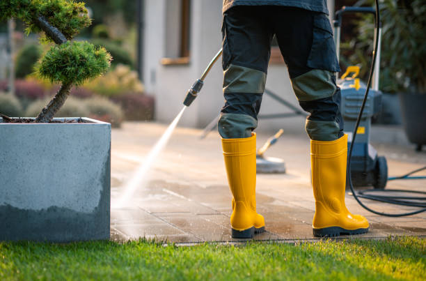 Professional Pressure Washing in La Grange, IL